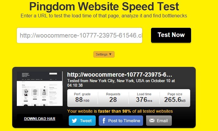 PageSpeed score of 376ms