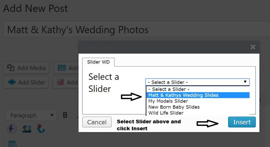 Step 3 - Select a Slider