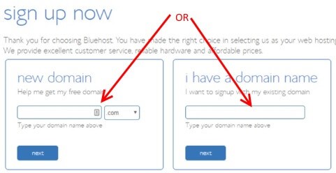 Bluehost wordprss account - Select domain