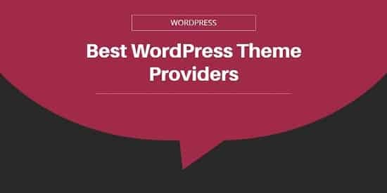 Best WordPress Theme Providers