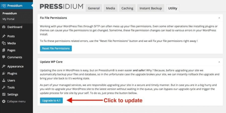 Pressidium-manual-UpdateWPCore