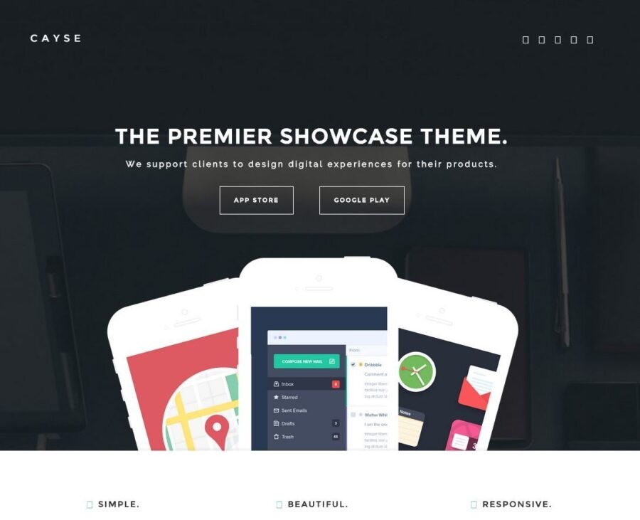 Cayse is a theme that is made with a single page and a home page
