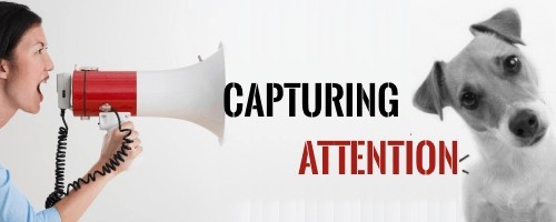 Capture Attention