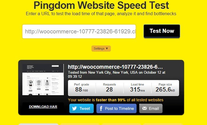 Page Speed Results of WooCommerce Cloned App in Amazon EC2